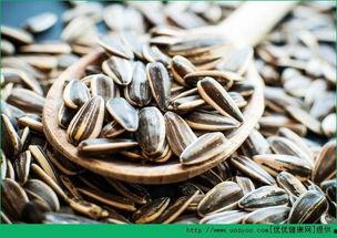 为什么吃瓜的时候吃瓜子,揭秘吃瓜与吃瓜子的奇妙体验