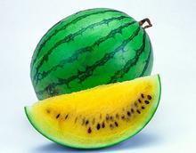 ppt吃瓜65页,一场视觉与知识的盛宴