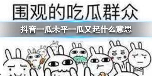 抖音吃瓜媳妇,揭秘网络红人的幕后故事