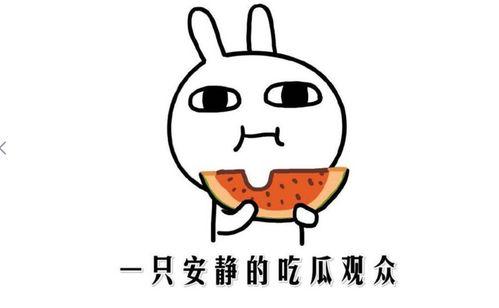 吃瓜的内涵,揭秘“吃瓜群众”背后的社会现象与心理解读