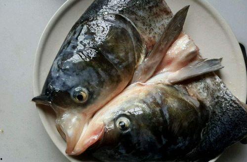 女人吃八瓜鱼头,女性养生美食新宠