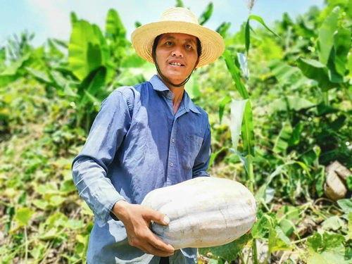 善良的吃瓜人,见证人间百态的温暖故事